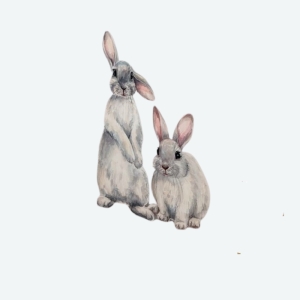image d'une autocollants mural en forme de 2 lapins sur un fond bleu clair.
