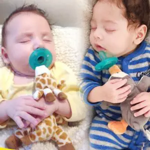 Tétine pour nouveau-né avec animaux en peluche avec deux bébés qui dort