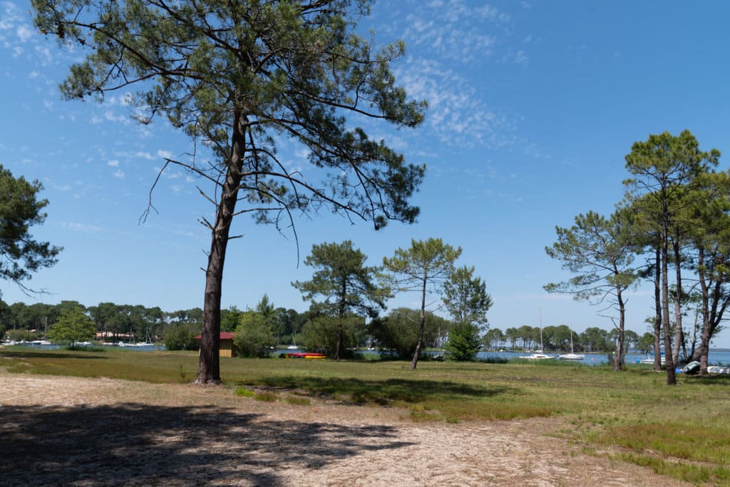 un chemin en terre longe la forêt de Lacanau tout près du bord de l'eau