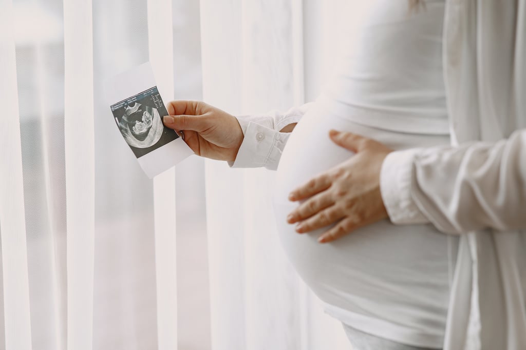 Quand sent on bébé bouger le développement du fœtus de 0 à 9 mois Areu Bébé